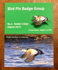 Image 1 of Steller’s Eider - Aug 2019 - Bird Pin Badge Group