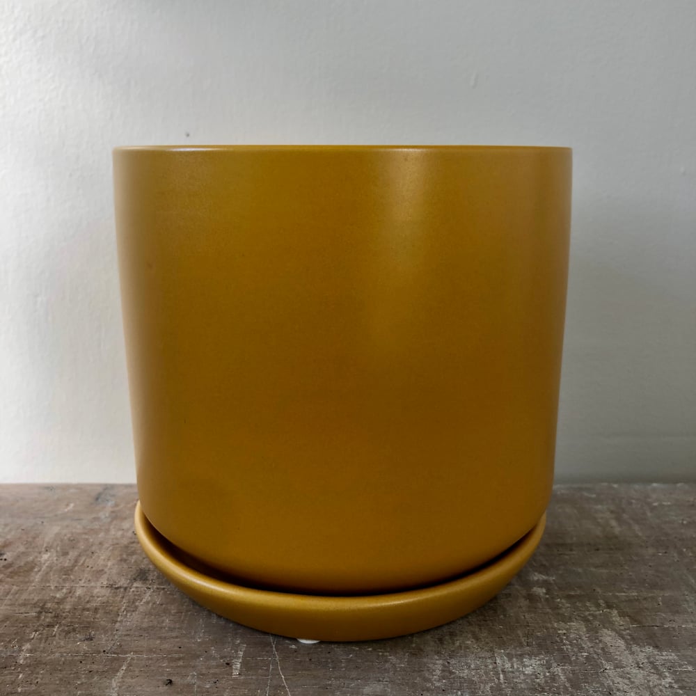 Image of Ceramic Oslo pots