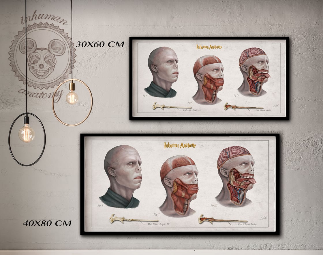 Image of VOLDEMORT-  head anatomy (limited ed. of 50 Giclèe wide print on fine art canvas)
