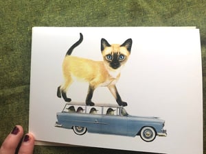 Image of Kitten Caboodle greeting card set.