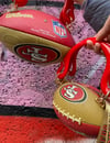 NFL 49ERS BALLBAG