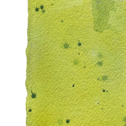 Image of Not so White Elephant #1 / Simon Schrikker