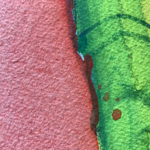 Image of Not so White Elephant #2 / Simon Schrikker