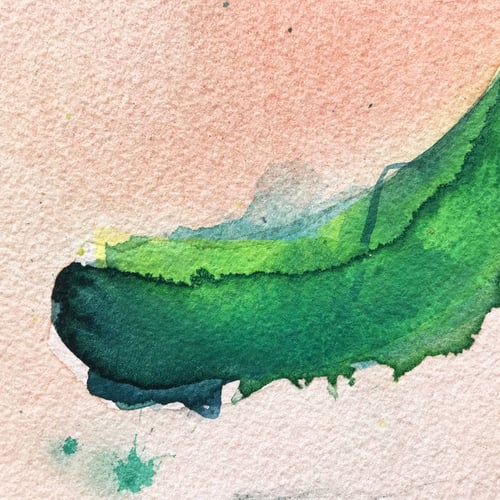 Image of Not so White Elephant #2 / Simon Schrikker