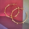Dotty Gold Hoops
