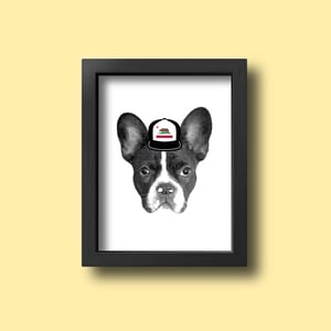 Image of Pet Portrait - Additional Greeting Cards or Art Prints