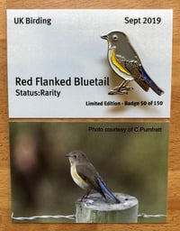 Image 1 of Red Flanked Bluetail - Sept 2019