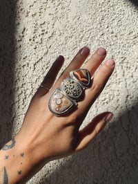 Image 3 of Aerial Ring