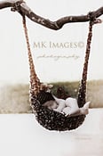 Image of Chocolate Speckled Hammock