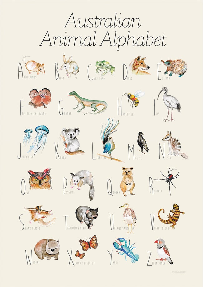 Recept Metafor Stolthed A to Z Australian Animal Poster | Oh Jojo Design
