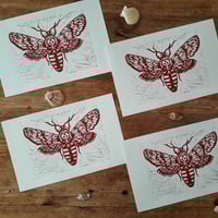 Dorm Living Room Gothic Wallart Handpulled Ruby Red Death's-Head Hawkmoth Linocut on Cream Paper