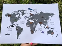 Image 3 of Animals of the world