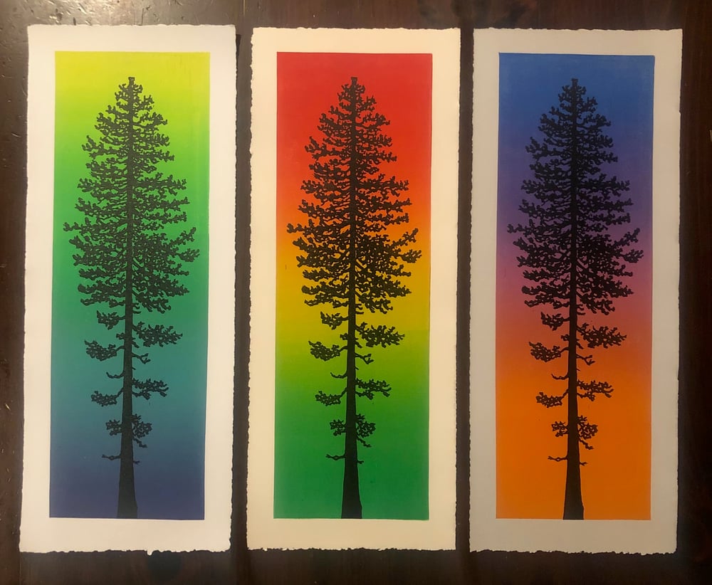 Image of Ponderosa Pine prints