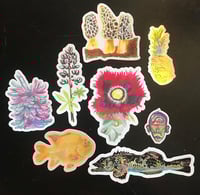 Image 2 of One of every sticker available in the shop!