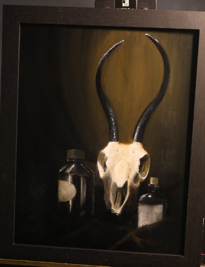 Image of Springbok still life