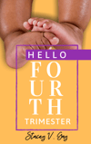 Hello Fourth Trimester eBook