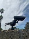 Pigeon Camera v1