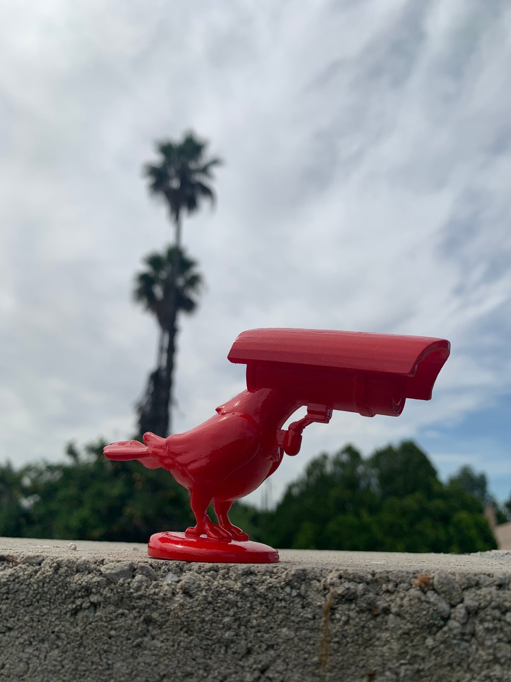 Pigeon Camera v1