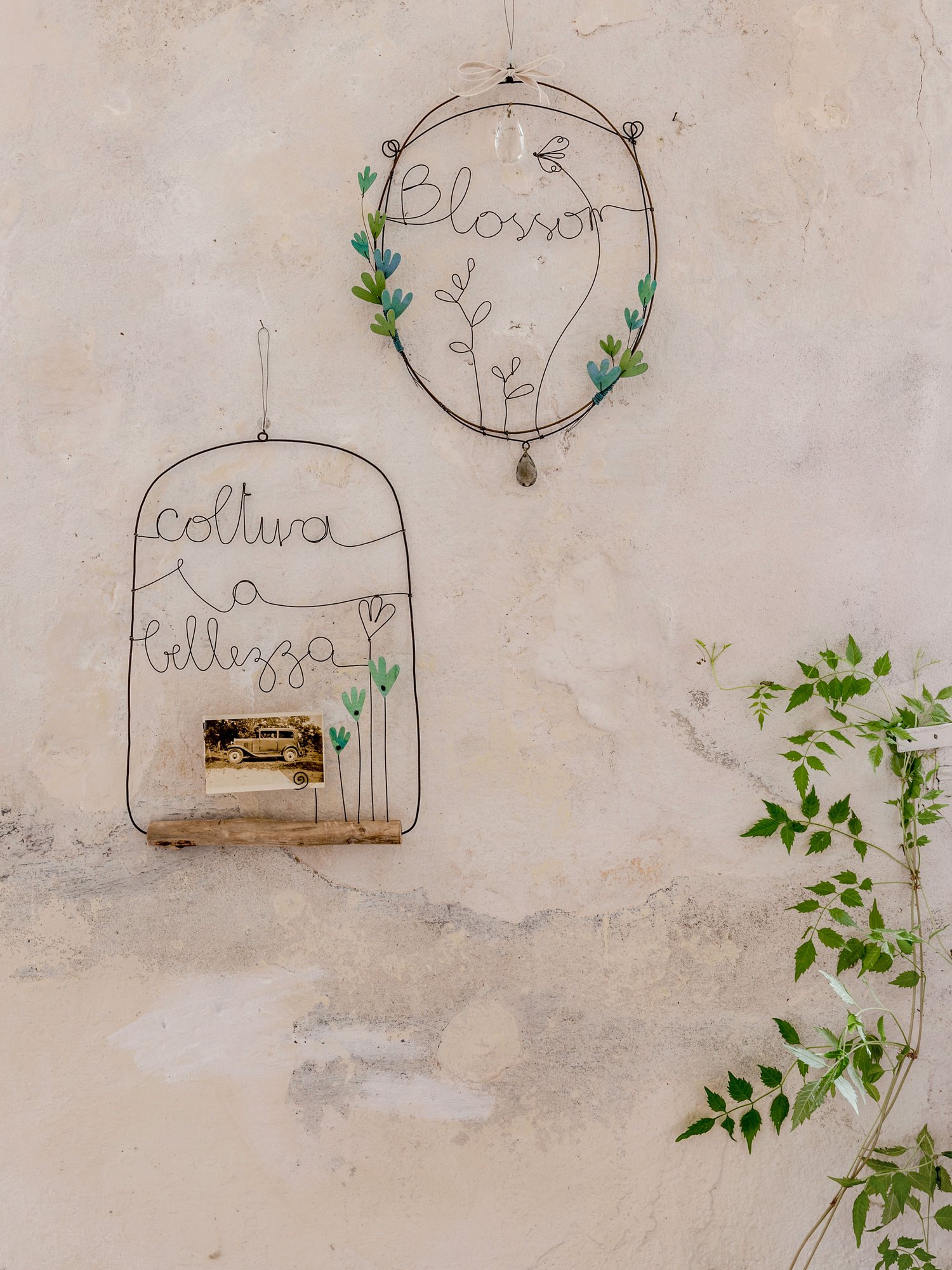 Image of DECORO da parete COLTIVA LA BELLEZZA sold out