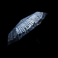 Image 3 of umbrella 