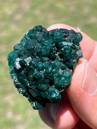 Image 14 of Dioptase Specimen #2539