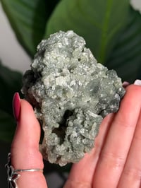 Image 3 of BOWTIE PREHNITE -INDIA- G