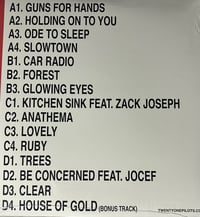 Image 2 of Twenty One Pilots “Regional at Best” Double LP