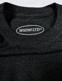 Image 3 of LWS Front Molar Heather Grey T-Shirt 005