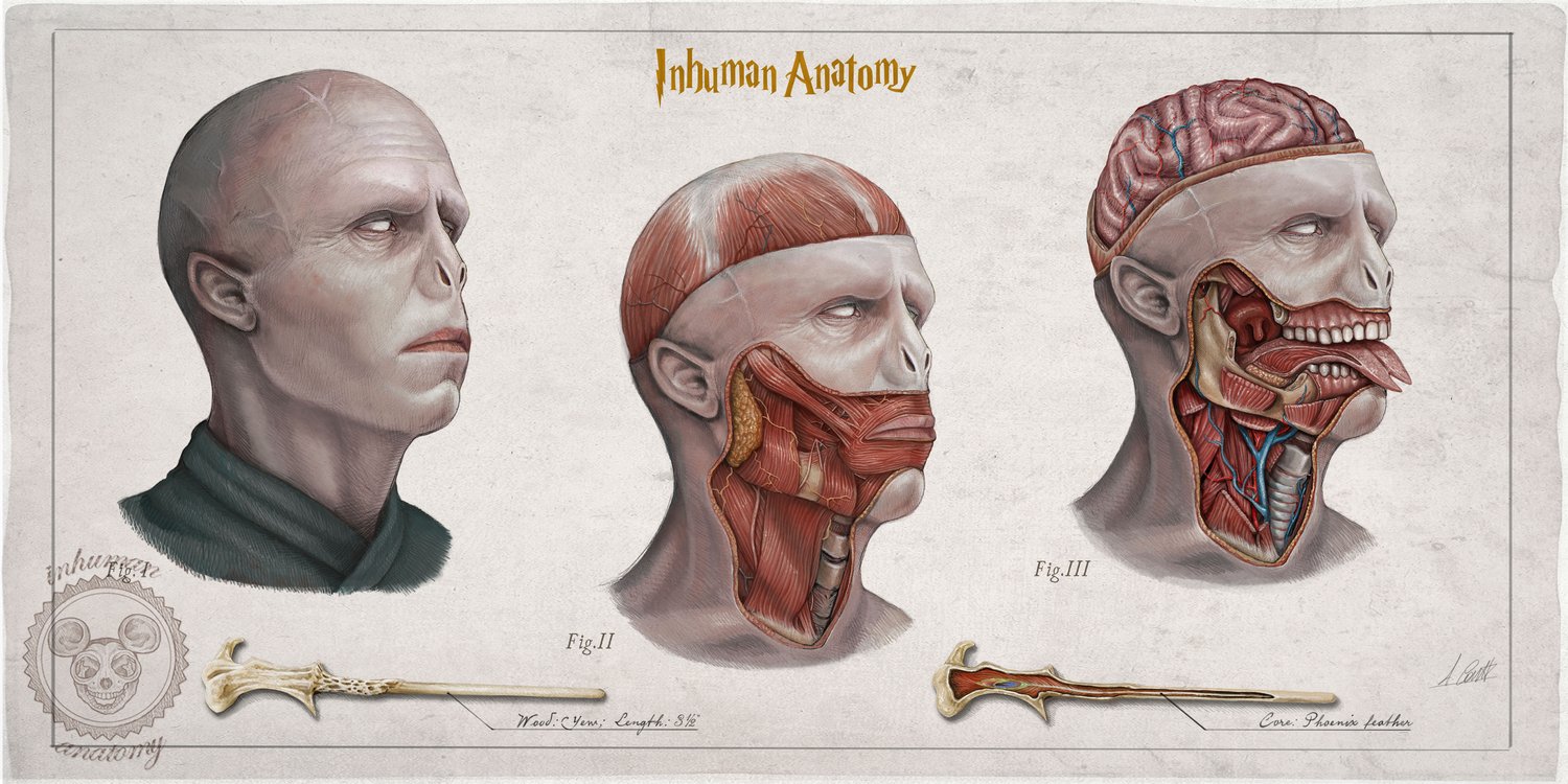 pistola acampar presión INHUMAN ANATOMY — VOLDEMORT- head anatomy (limited ed. of 50 Giclèe wide  print on fine art canvas)