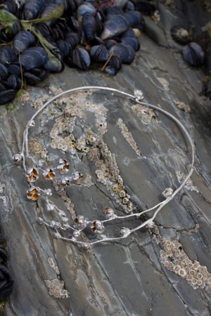 Image of Silver Golden Torque