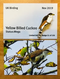 Image 1 of Yellow Billed Cuckoo - Nov 2019