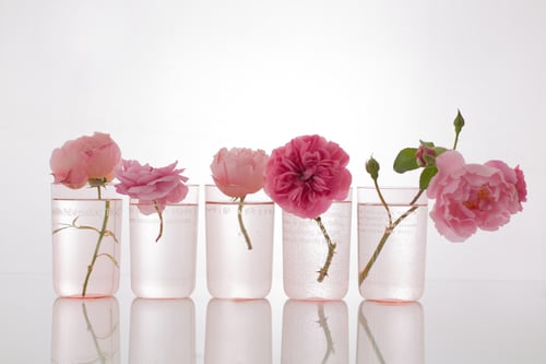 Image of VERBA pink water glass with inscription in Latin or Ancient Greek