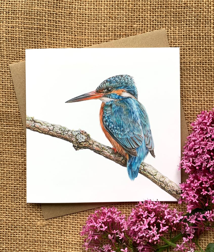 Image of 'Kingfisher' Greetings Card