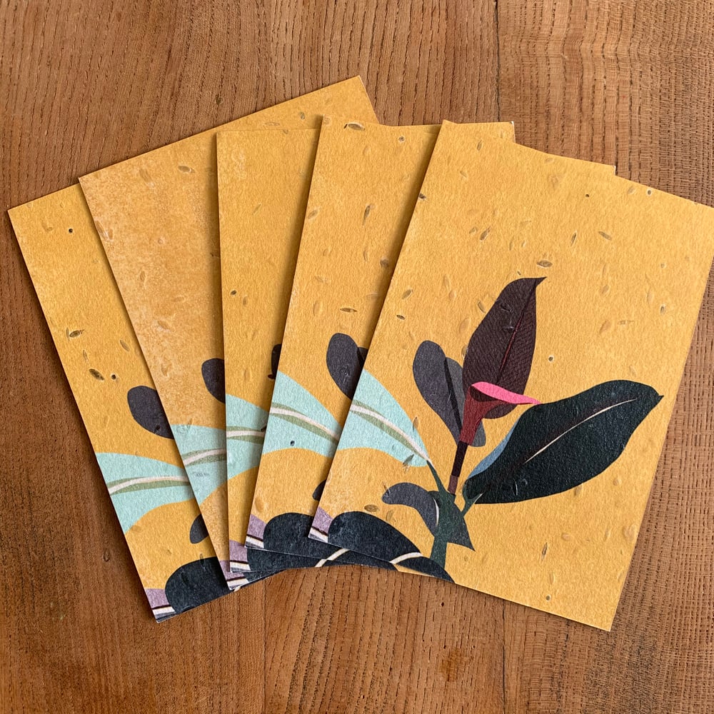 Image of Pack of 5 Seeded Postcards