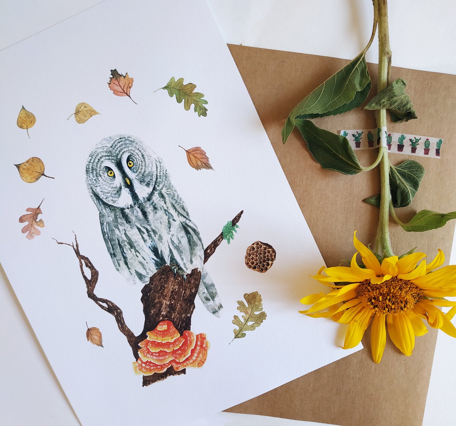 Image of Great Grey Owl Print 50%OFF 