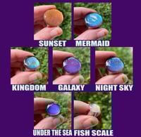 Chameleon Color-Shift Plugs (sizes 2g-2")