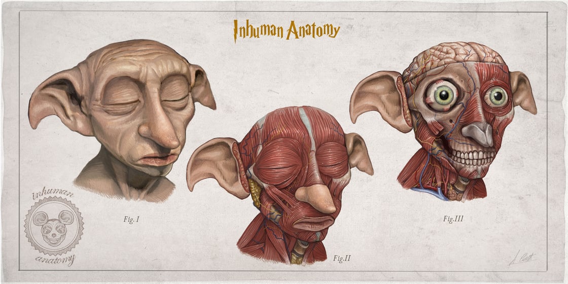 Image of DOBBY - head anatomy (limited ed. of 50 Giclèe wide print on fine art canvas)