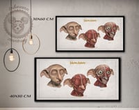 Image 2 of DOBBY - head anatomy (limited ed. of 50 Giclèe wide print on fine art canvas)