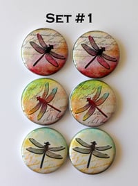 Image 1 of Dragonfly
