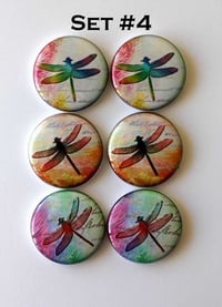 Image 4 of Dragonfly