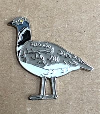 Image 2 of Little Bustard - Sept 2019