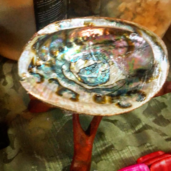 Image of Abalone Shell 
