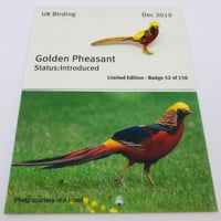 Image 1 of Golden Pheasant - Dec 2019