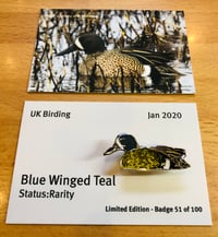 Image 1 of Blue Winged Teal - Jan 2020