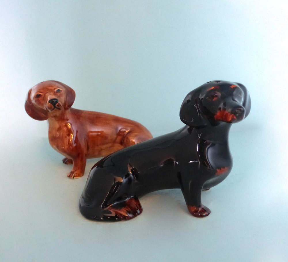 Image of Dachshund Salt and Pepper