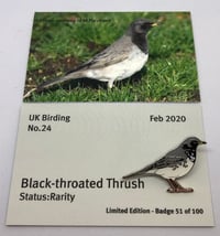 Image 1 of Black Throated Thrush - Feb 2020