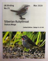 Image 1 of Siberian Rubythroat - March 2020