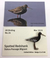 Image 1 of Spotted Redshank - March 2020