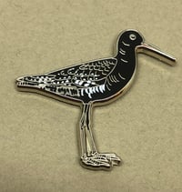 Image 2 of Spotted Redshank - March 2020