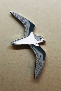 Image 2 of Fea’s Petrel - April 2020